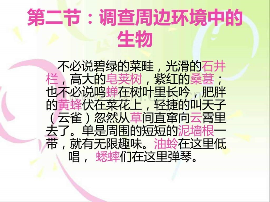 调查周边环境中的生物图文.pptx_第1页