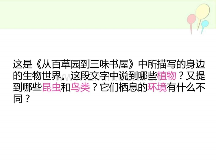 调查周边环境中的生物图文.pptx_第2页