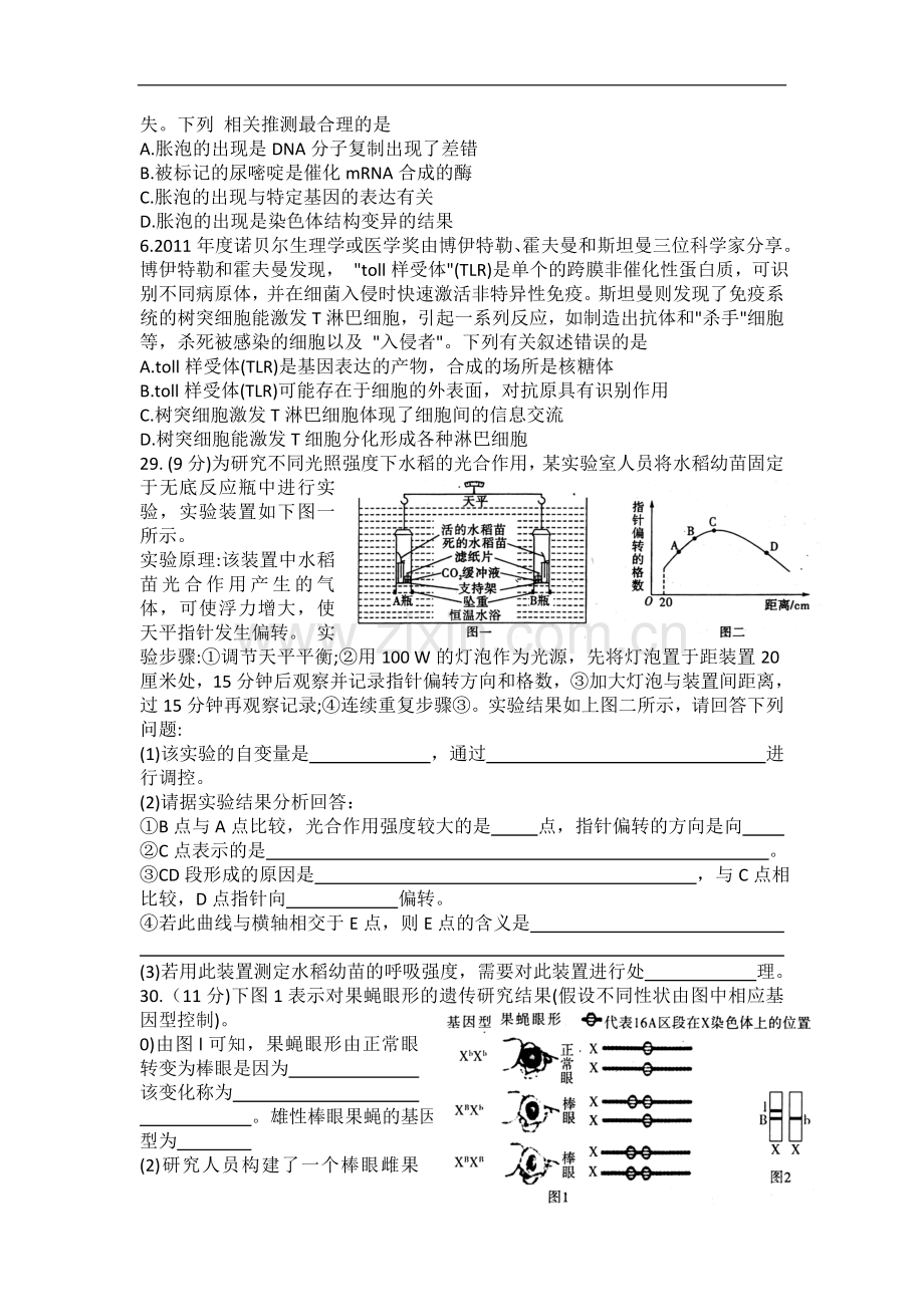 湖北省高考生物限时训练29.doc_第2页