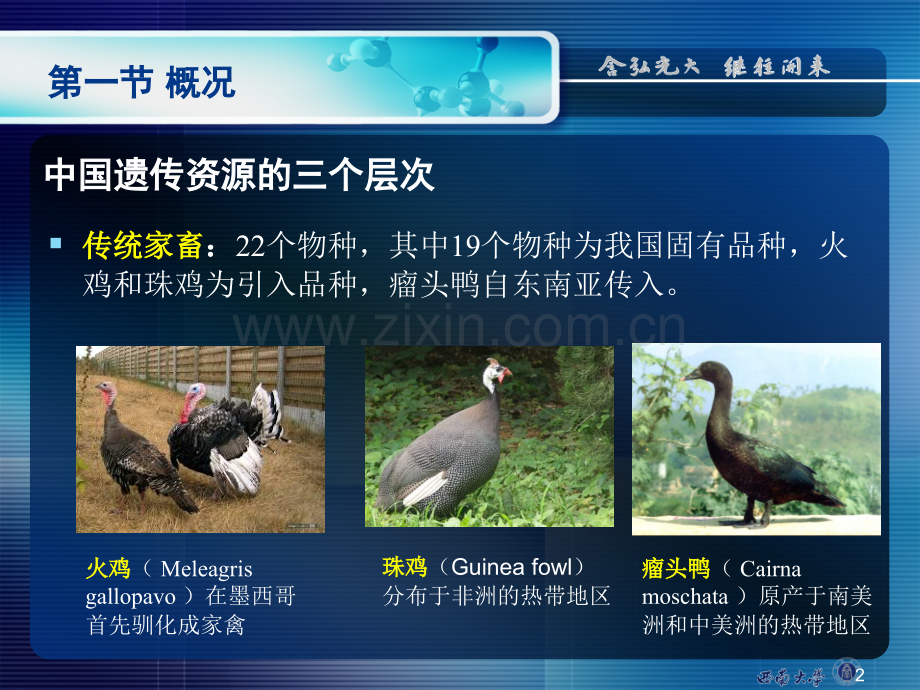 中国家畜遗传资源现状(课堂PPT).ppt_第2页