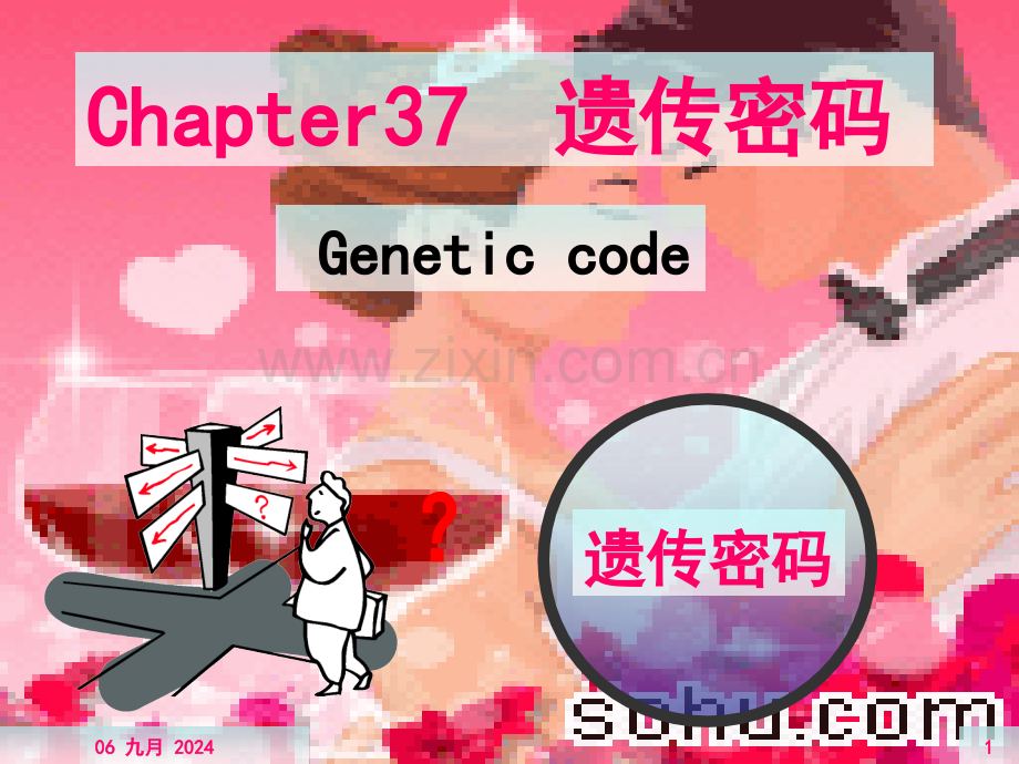 烟大生化37.pptx_第1页