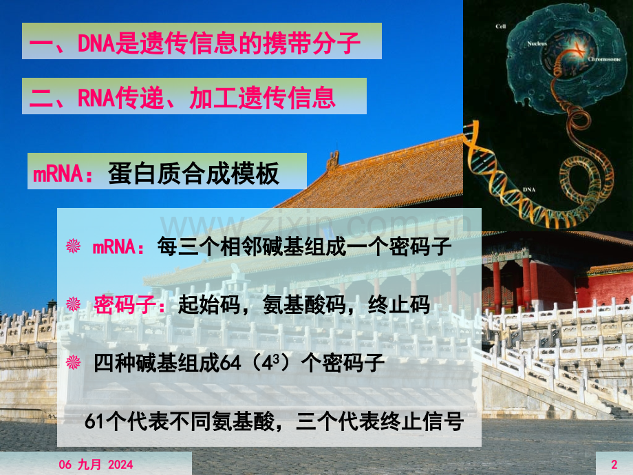 烟大生化37.pptx_第2页