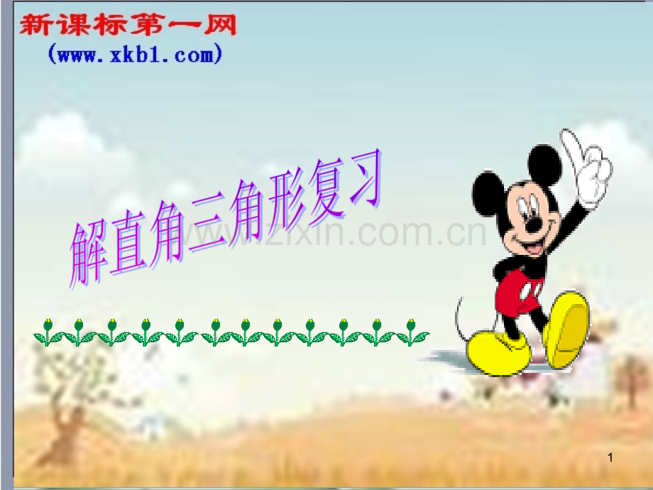 解直角三角形复习课件.ppt_第1页