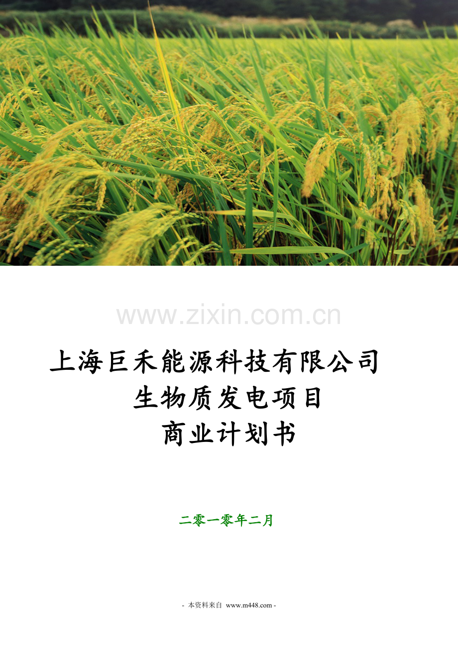 生物发电项目建设投资可行性研究报告.doc_第1页