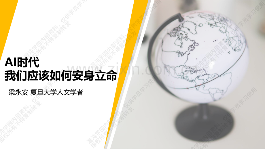 AI时代我们应该如何安身立命.pdf_第1页
