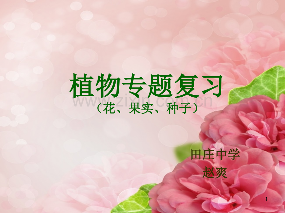 生物初二植物专题复习(花、果实、种子)课件PPT.ppt_第1页