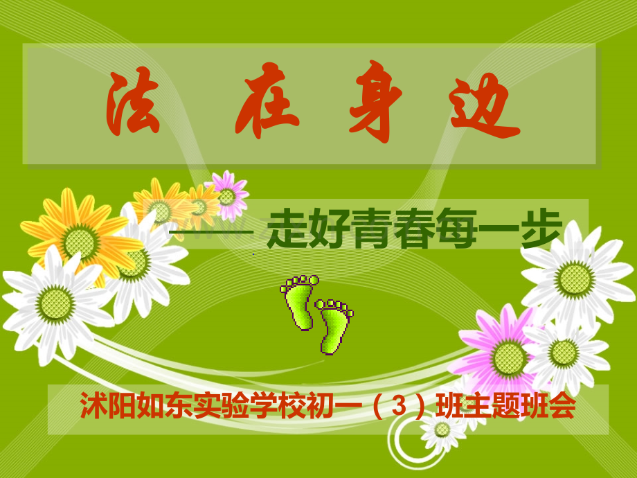 法在身边——走好青春每一步课件PPT.ppt_第1页