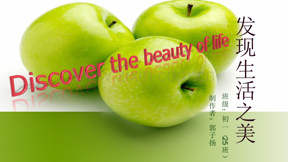 生活中的美课件PPT.ppt_第1页