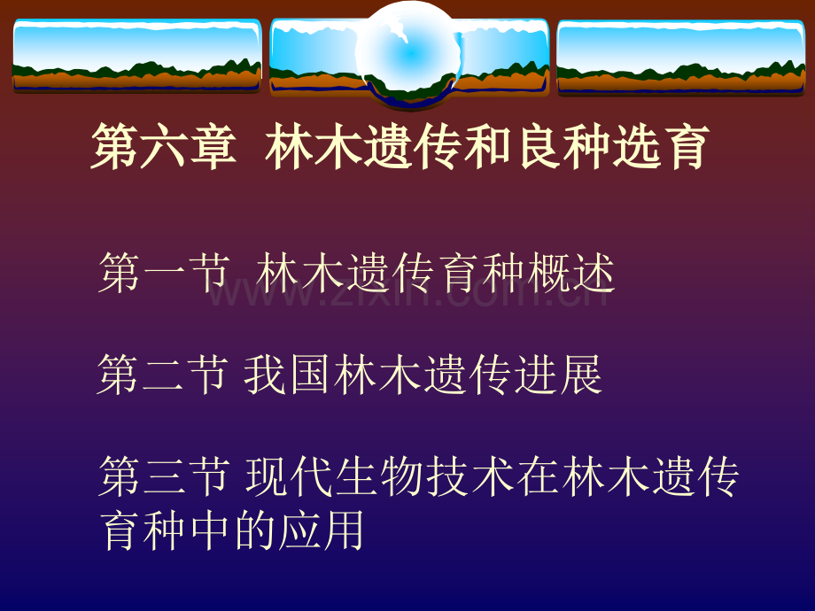 林木遗传和良种选育.pptx_第1页