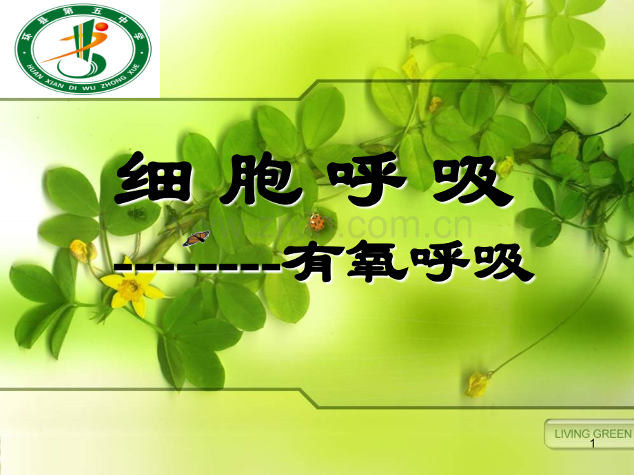 有氧呼吸课件PPT.ppt_第1页