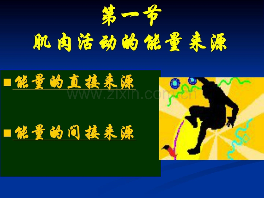 精彩运动心理学肌肉运动能量供应.pptx_第2页