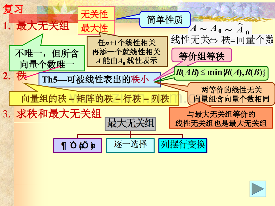 复习-1--最大无关组2--秩3--求秩和最大无关组.pptx_第1页
