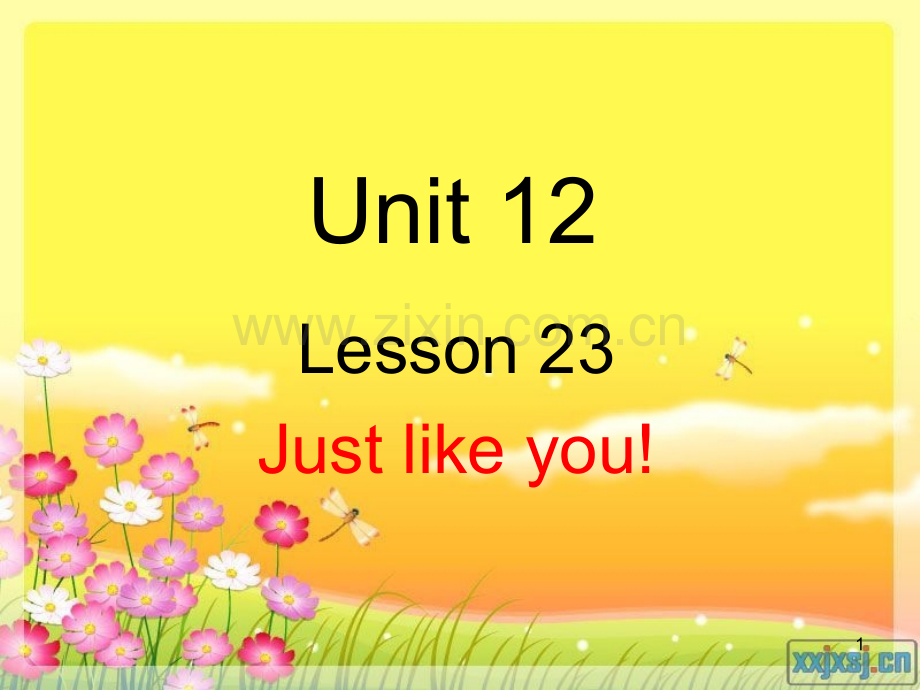 新概念英语青少版1A-unit12-lesson-23&24(课堂PPT).ppt_第1页