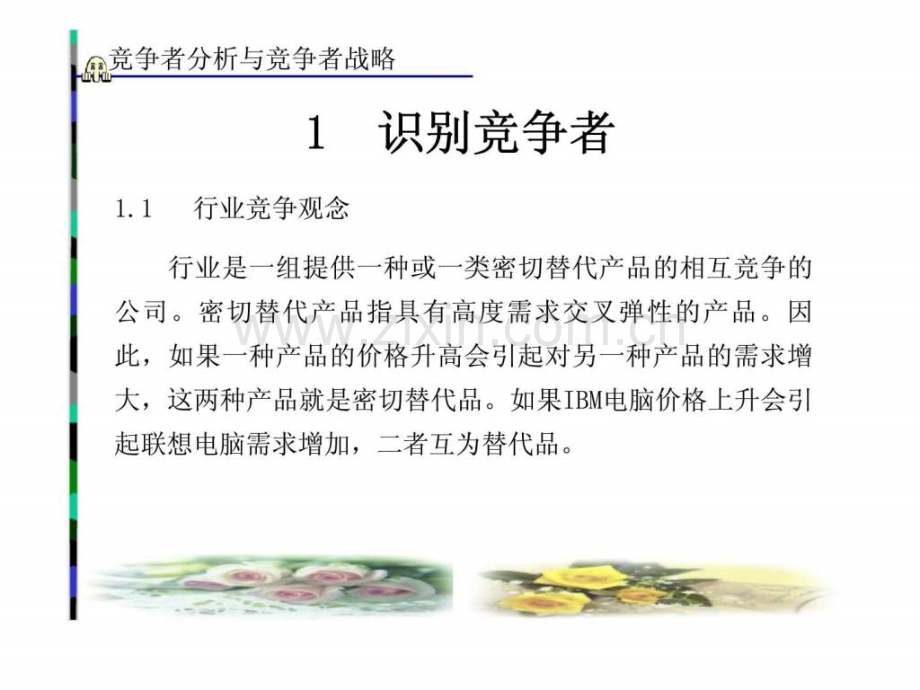 竞争者分析与竞争者战略.pptx_第2页