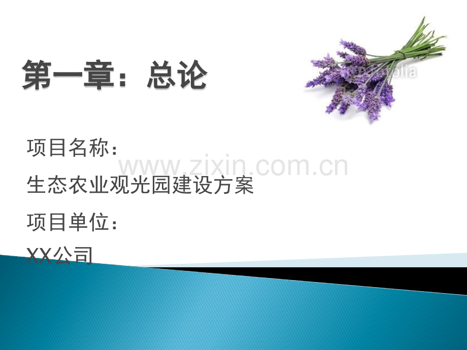 生态农业观光园设计图.pptx_第2页