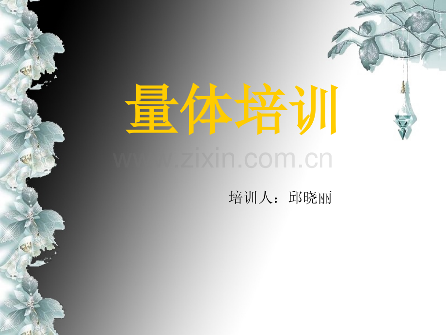 量体培训PPT文档.ppt_第1页