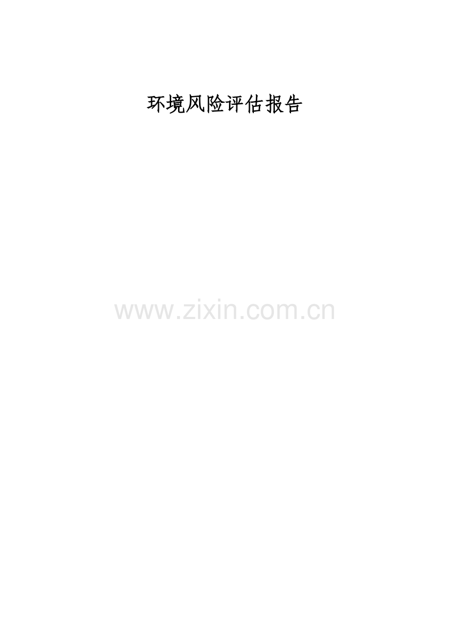 风险评估报告.doc_第1页