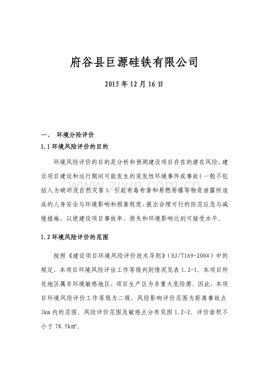 风险评估报告.doc_第2页