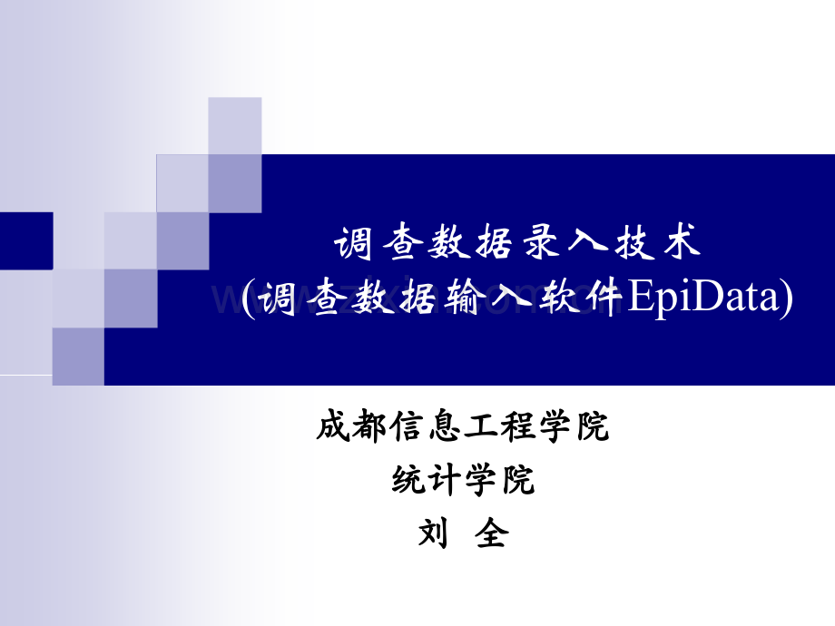 调查数据的录入软件.pptx_第1页