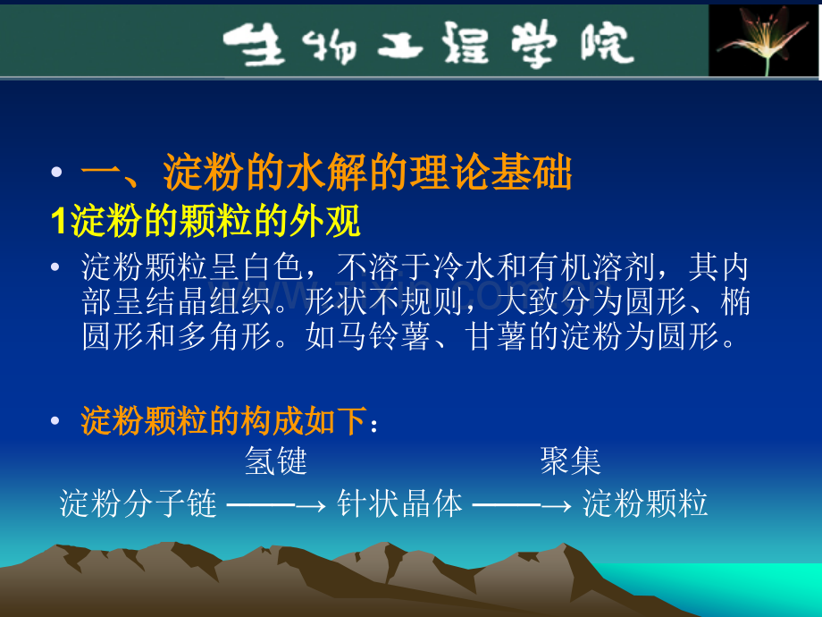 淀粉水解糖制备1已看.pptx_第1页