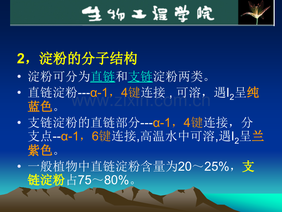 淀粉水解糖制备1已看.pptx_第2页
