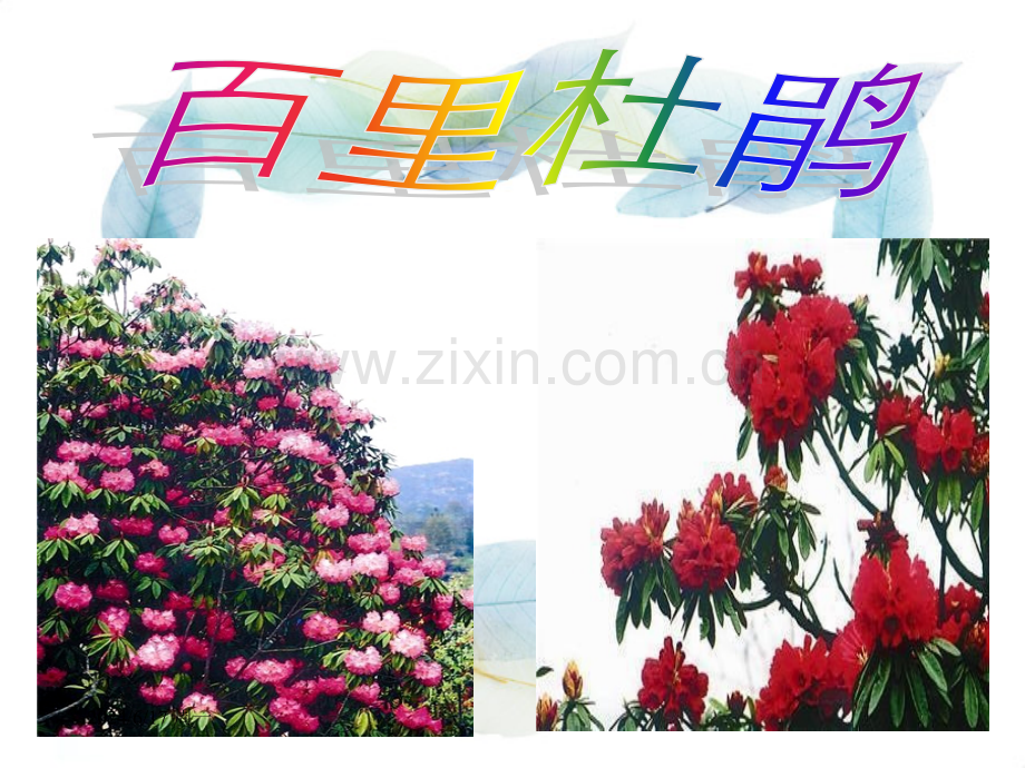 精彩的艺术字ppt幻灯片.ppt_第1页