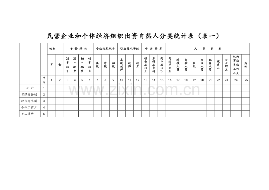 民营企业和个体经济组织出资自然人分类统计表表一.doc_第1页