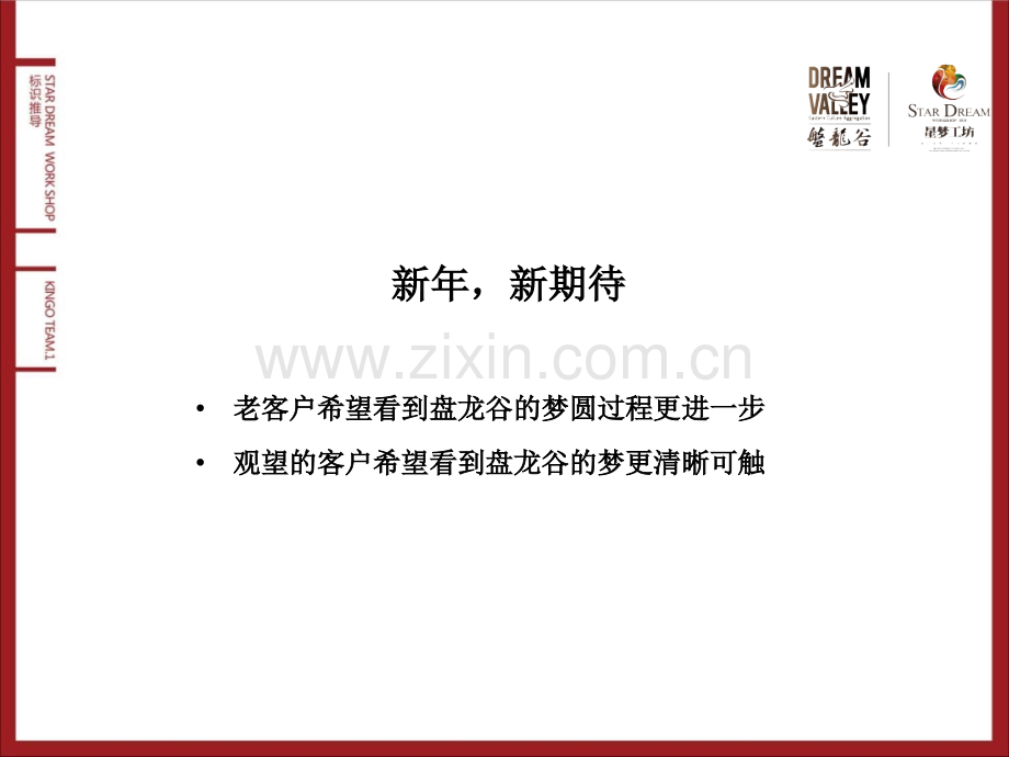 盘龙谷星梦工坊推广策略及计划.pptx_第2页