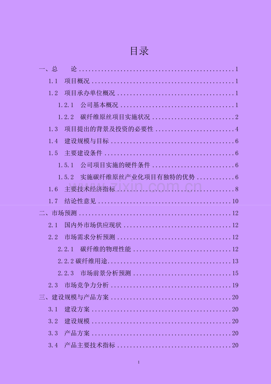 年产12万吨pan基碳纤维原丝项目申请立项可研报告.doc_第2页
