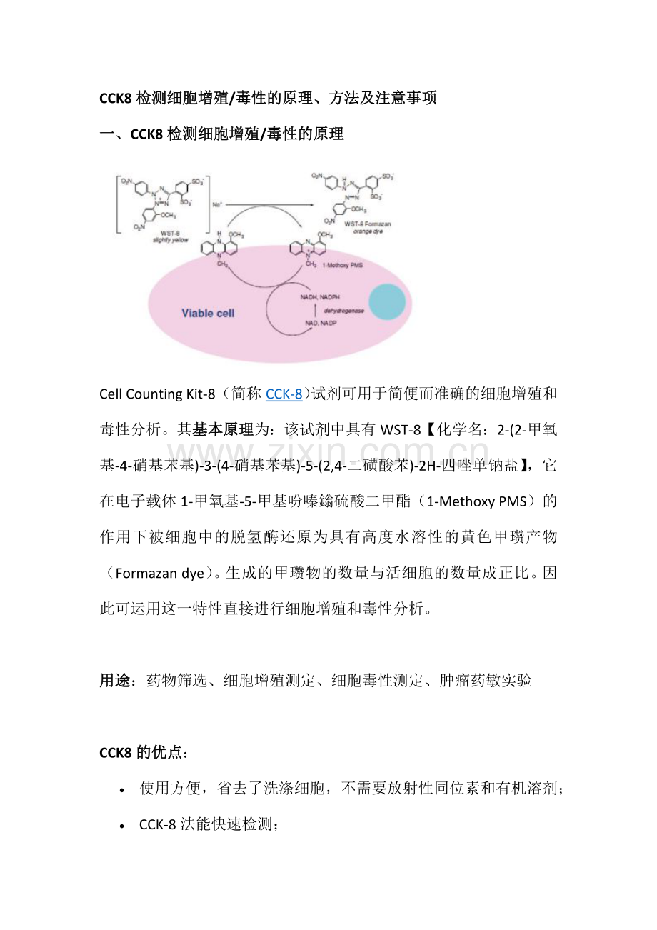 检测细胞增殖毒性的原理及注意事项.docx_第1页