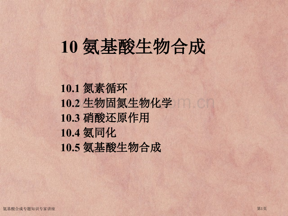 氨基酸合成专题知识专家讲座.pptx_第1页