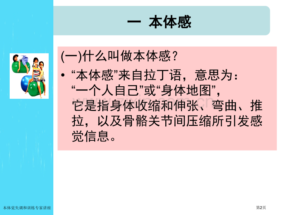 本体觉失调和训练专家讲座.pptx_第2页