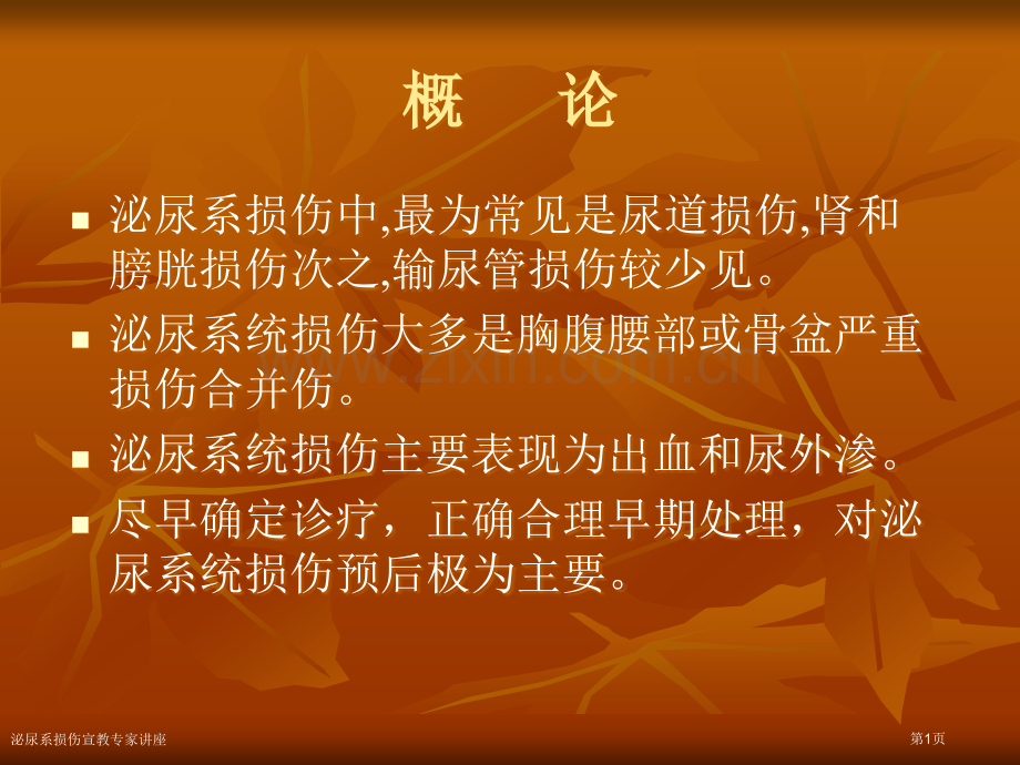 泌尿系损伤宣教专家讲座.pptx_第1页