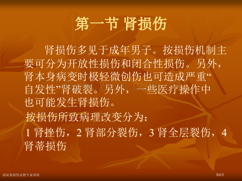 泌尿系损伤宣教专家讲座.pptx_第2页