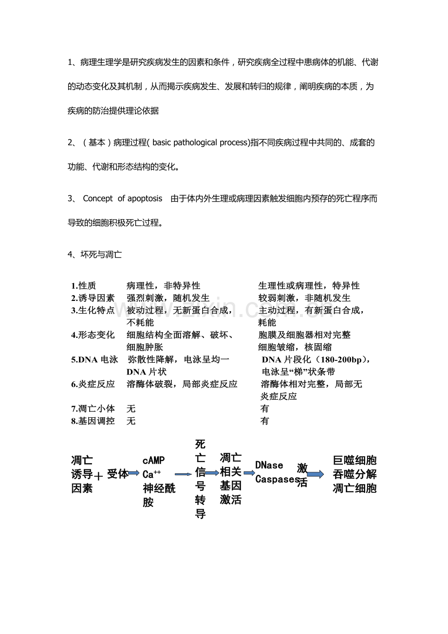2023年病理生理学考博用.docx_第1页