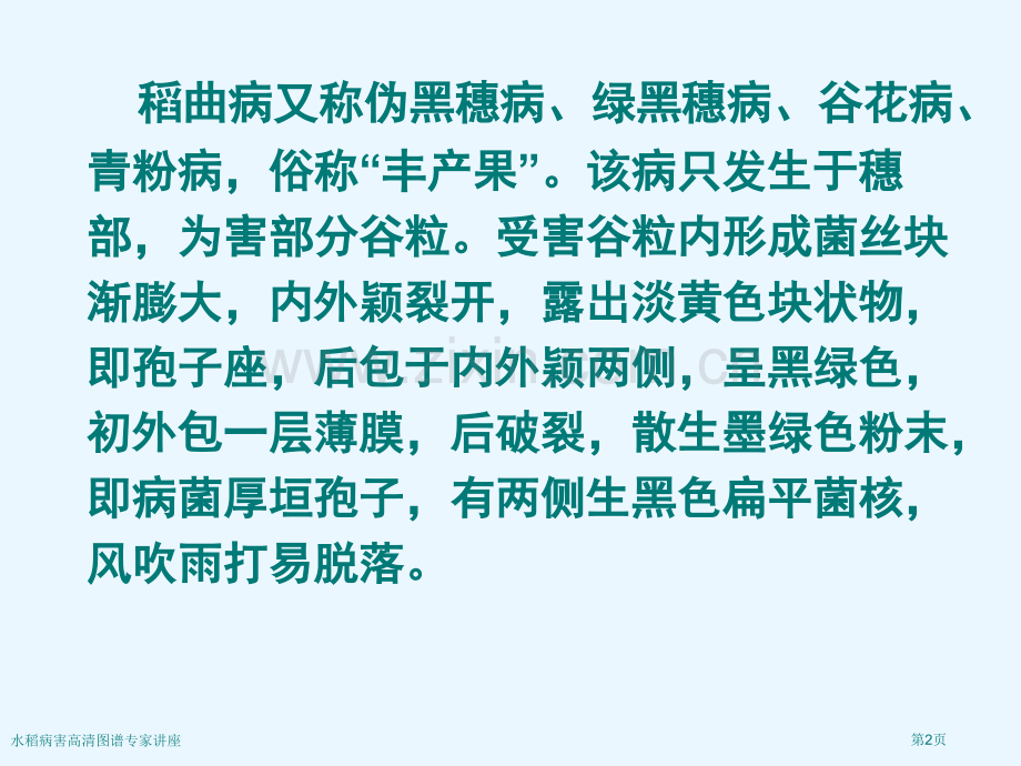 水稻病害高清图谱专家讲座.pptx_第2页