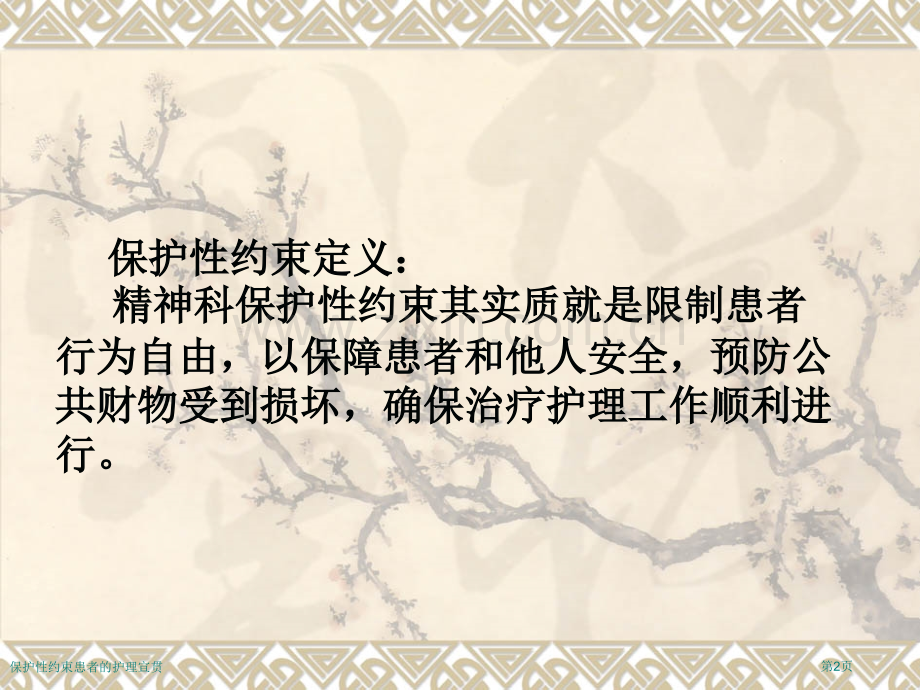 保护性约束患者的护理宣贯.pptx_第2页