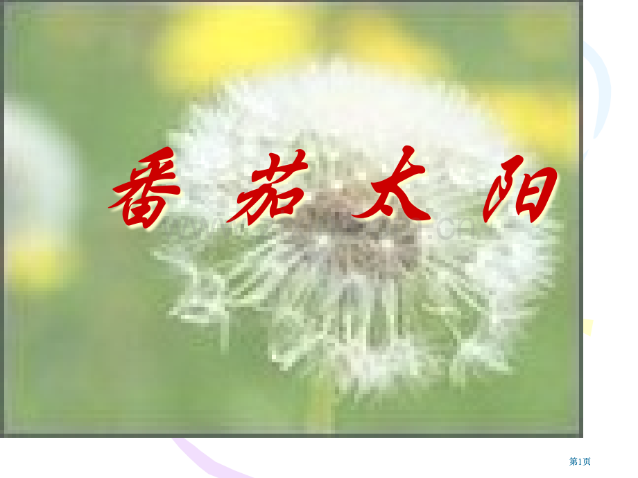 苏教版四年级下册番茄太阳课件3市公开课金奖市赛课一等奖课件.pptx_第1页