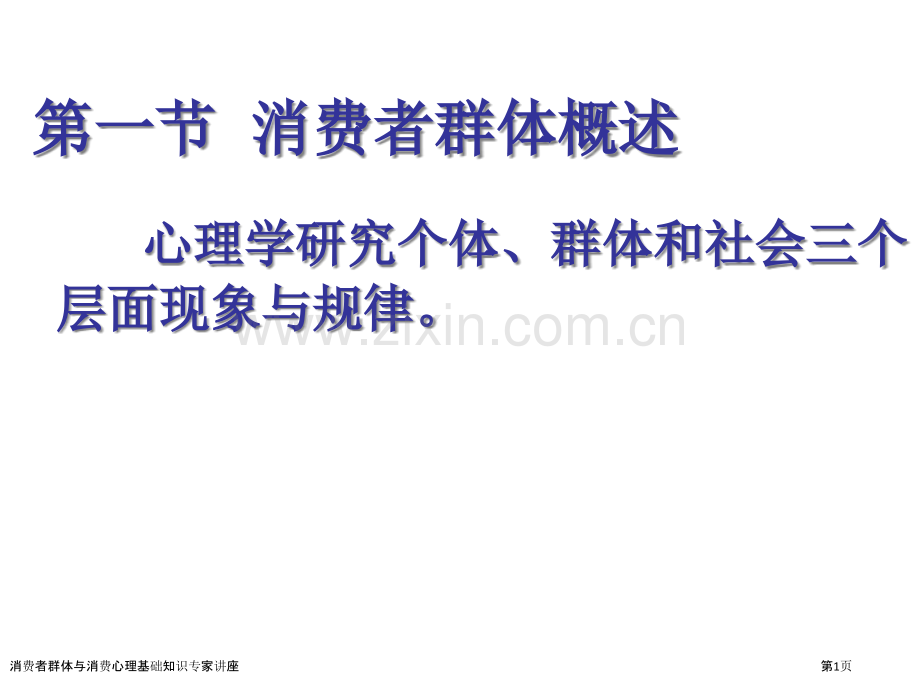 消费者群体与消费心理基础知识专家讲座.pptx_第1页