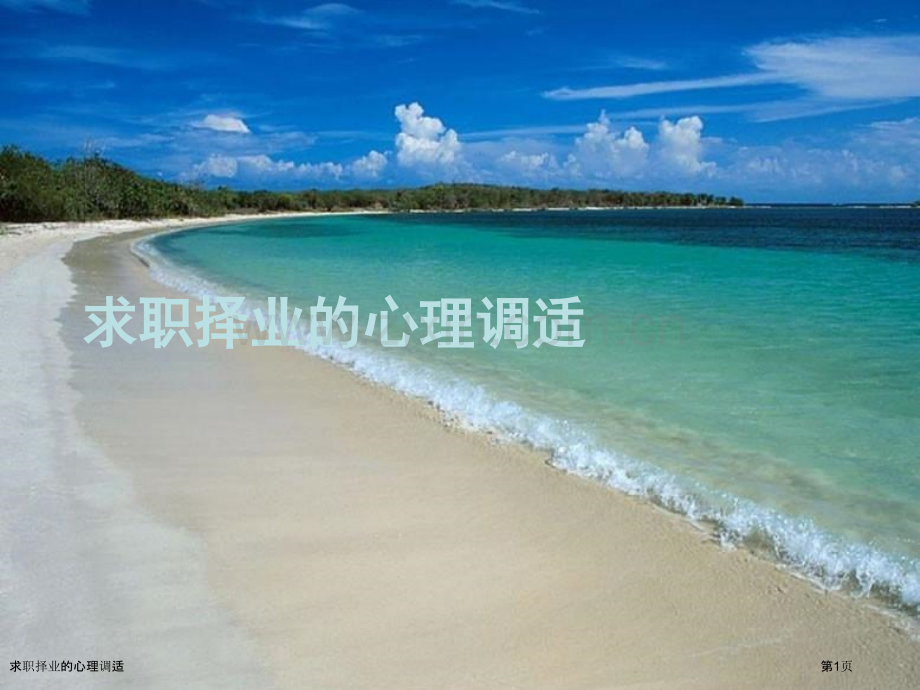 求职择业的心理调适.pptx_第1页