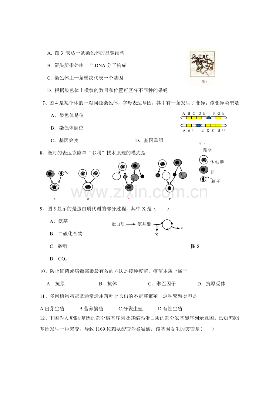 2023年上海市徐汇区生命科学等级考二模试卷及参考答案.doc_第2页