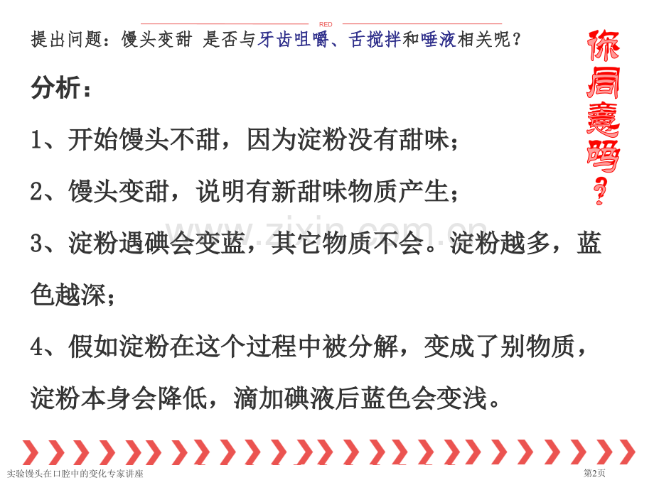 实验馒头在口腔中的变化专家讲座.pptx_第2页
