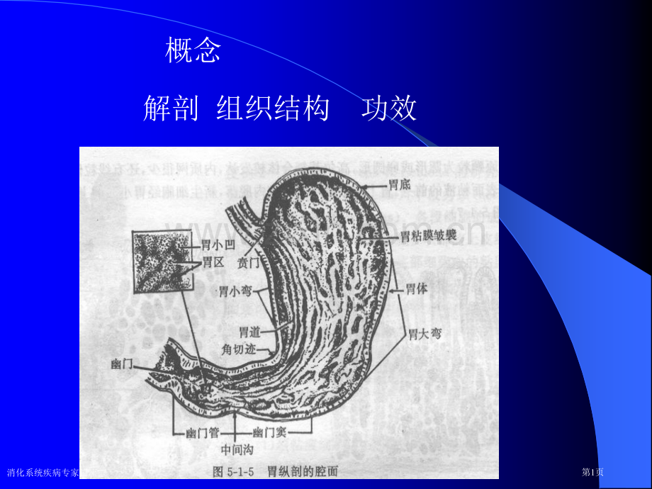 消化系统疾病专家讲座.pptx_第1页