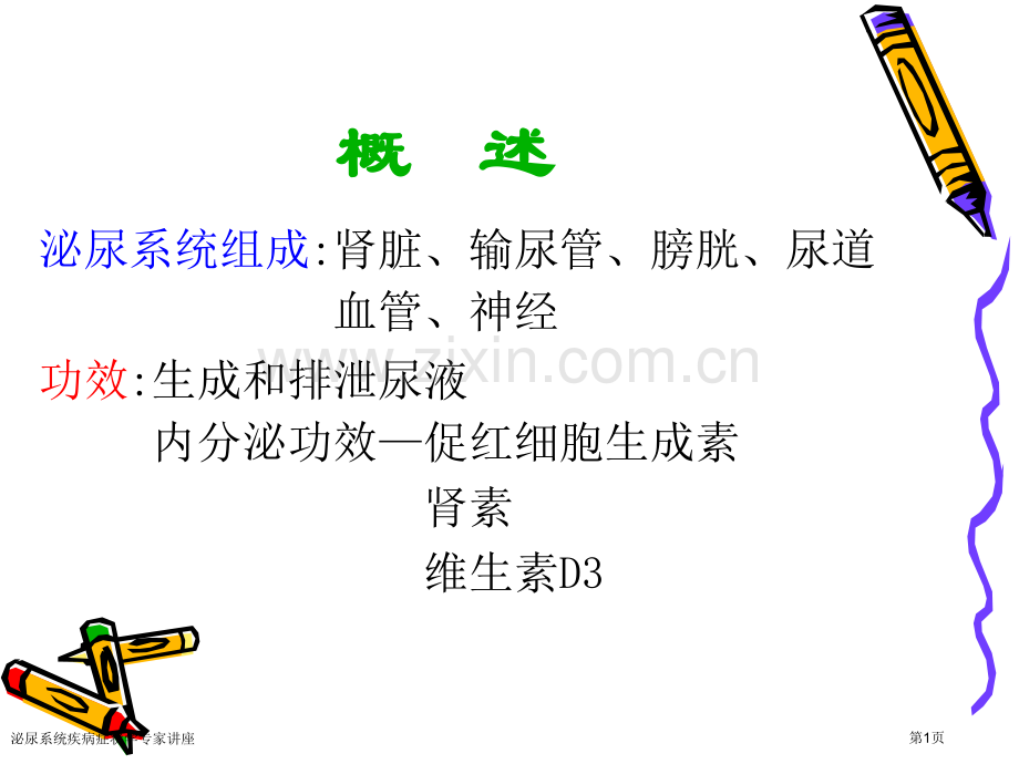 泌尿系统疾病症状学专家讲座.pptx_第1页