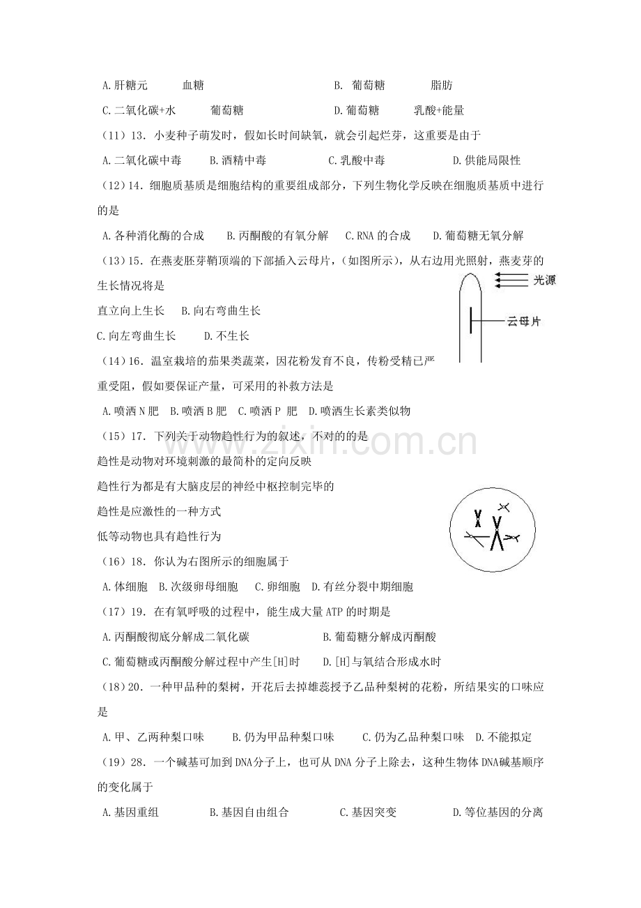2023年全国中学生生物学知识竞赛打印.doc_第2页