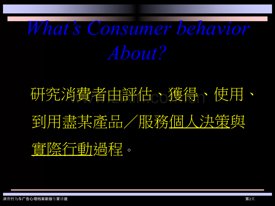 消费行为与广告心理档案新版专家讲座.pptx_第2页