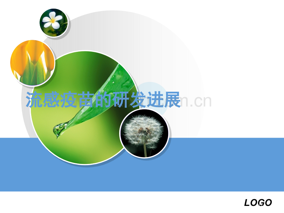 流感疫苗的研发进展.pptx_第1页