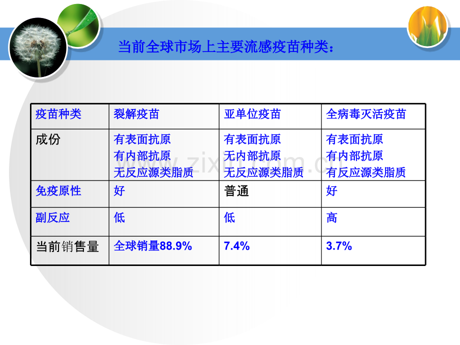 流感疫苗的研发进展.pptx_第2页