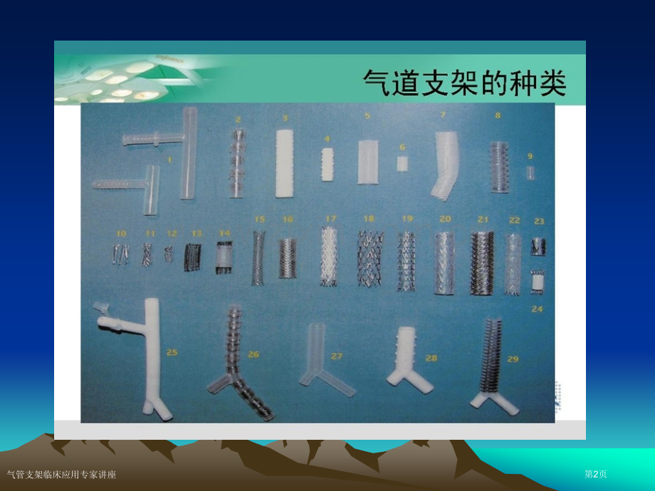 气管支架临床应用专家讲座.pptx_第2页