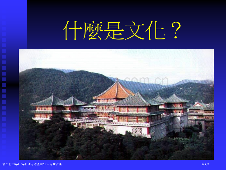 消费行为与广告心理专题基础知识专家讲座.pptx_第2页